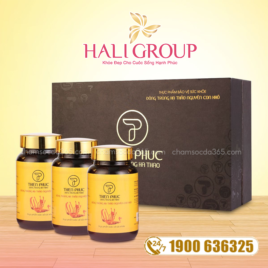công dụng Đông Trùng Hạ Thảo Thiên Phúc Nguyên Con Khô 15g (Hộp 3 Lọ)