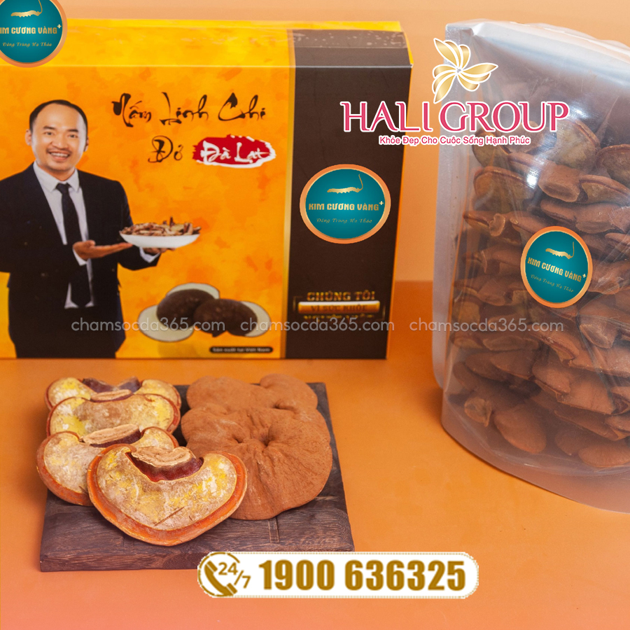 công dụng Nấm Linh Chi Đà Lạt Nguyên Tai Kim Cương Vàng