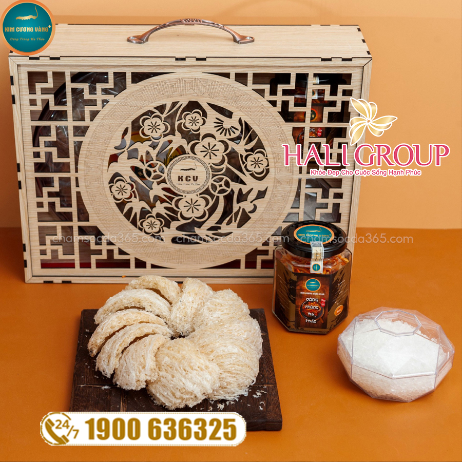 Bộ Yến Sào (50g) Đông Trùng Hạ Thảo Kim Cương Vàng (10g)