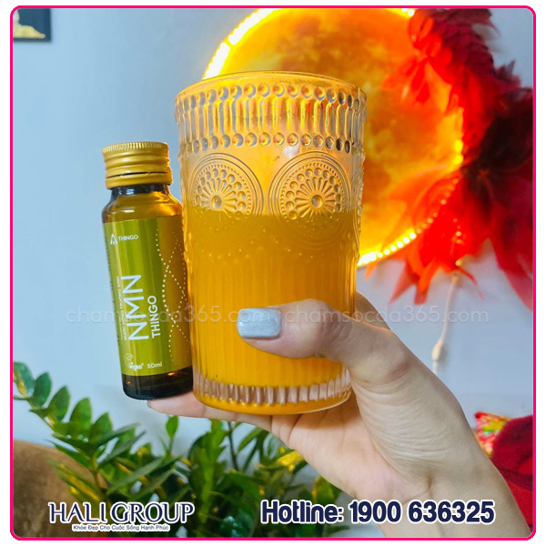 nước uống nmn thingo review
