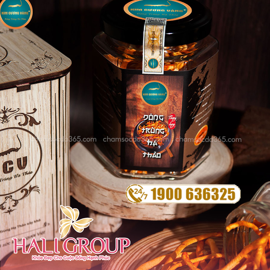 đông trùng hạ thảo khô kcv 10g