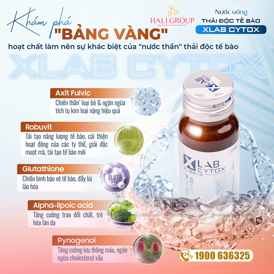 thành phần nước uống thải độc tế bào xlab placenta