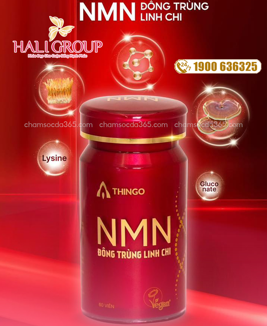 thành phần viên uống nmn đông trùng linh chi thingo