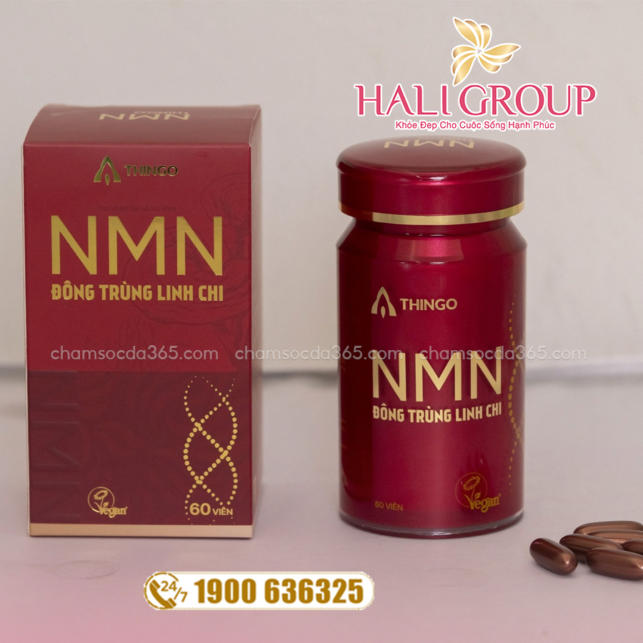 công dụng viên uống nmn đông trùng linh chi thingo