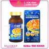 Viên Uống Hỗ Trợ Sức Khỏe Xương Khớp Nichiei Bussan Nano Premium Shark Cartilage Nhật Bản