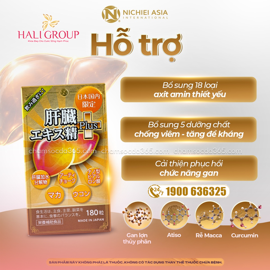 công dụng Viên Uống Hỗ Trợ Gan Nichiei Bussan Liver Hydrolyzate Plus Nhật Bản