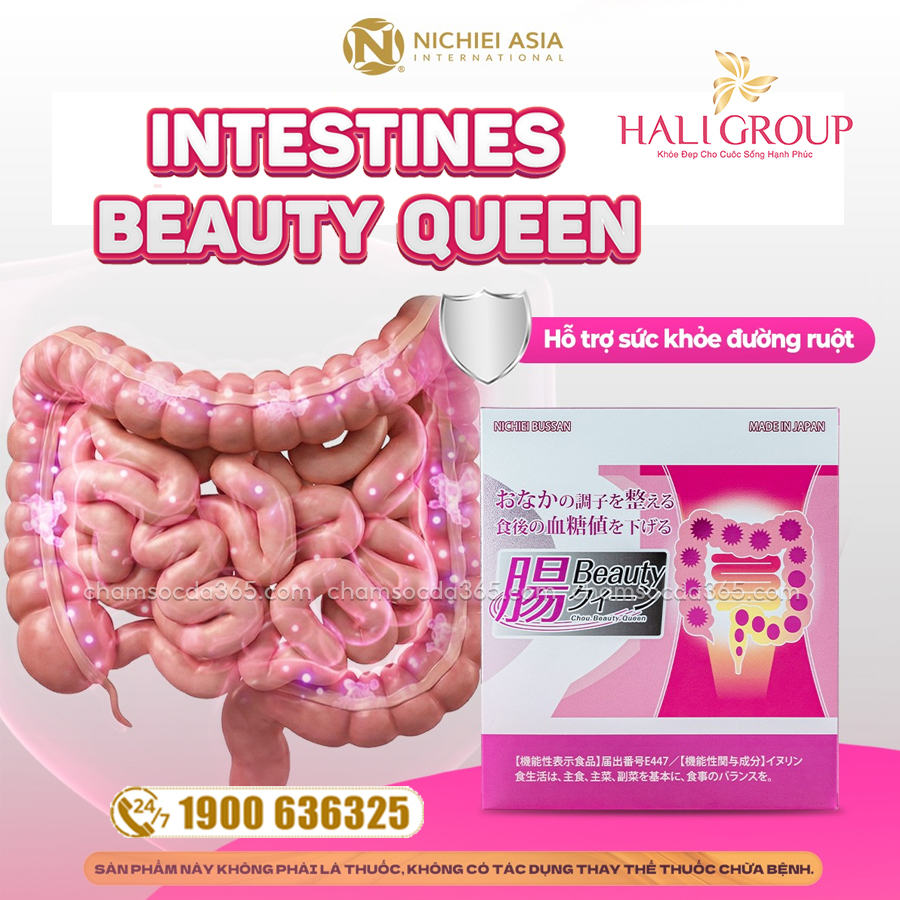 Men Hỗ Trợ Tiêu Hóa Nichiei Bussan Intestines Beauty Queen của Nichiei Asia Nhật Bản